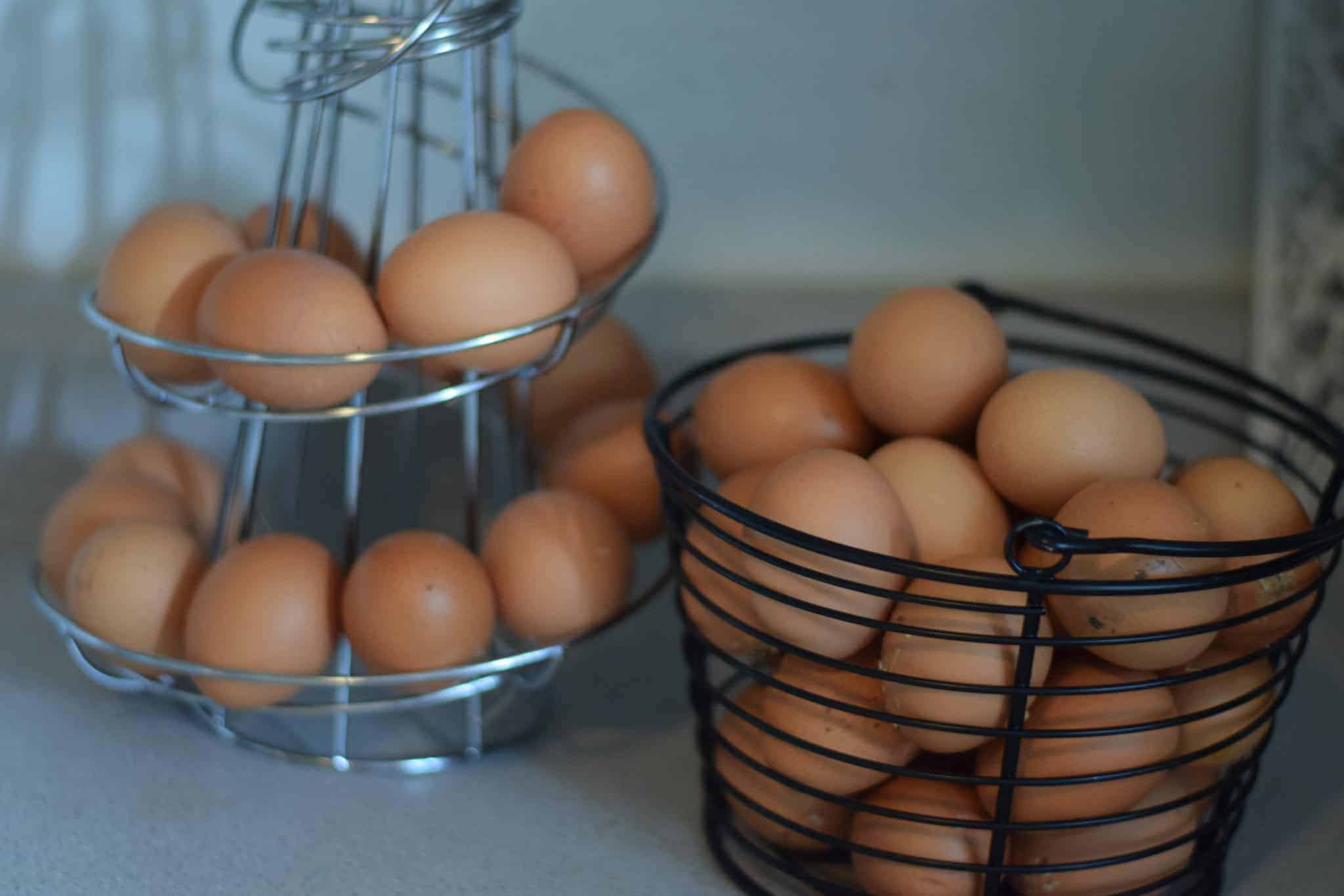 What to do with Extra Eggs Boots & Hooves Homestead