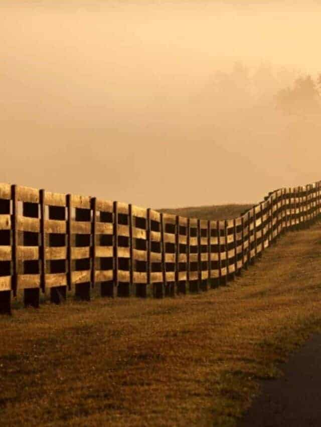 farm fence line