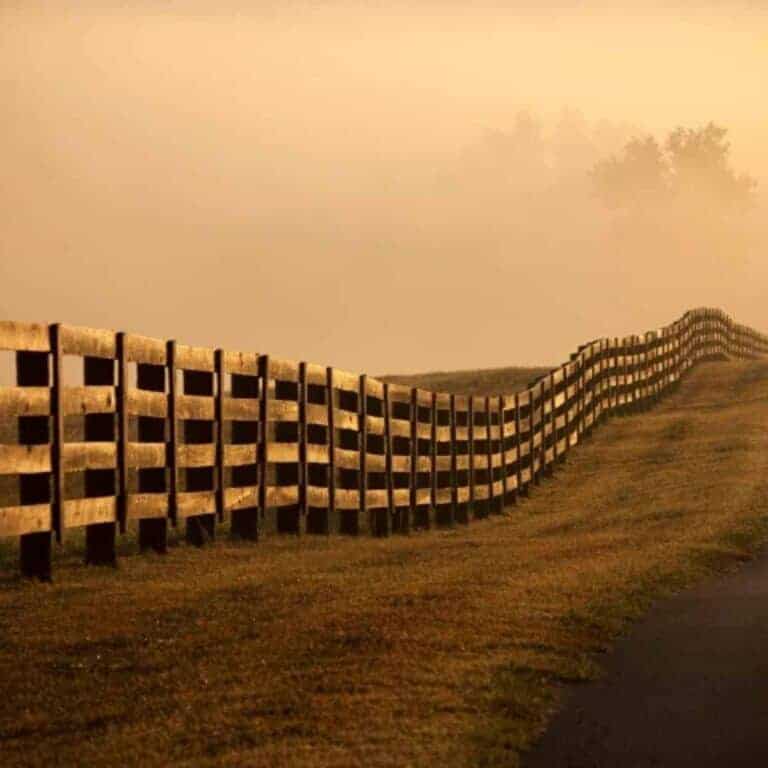 farm fence line