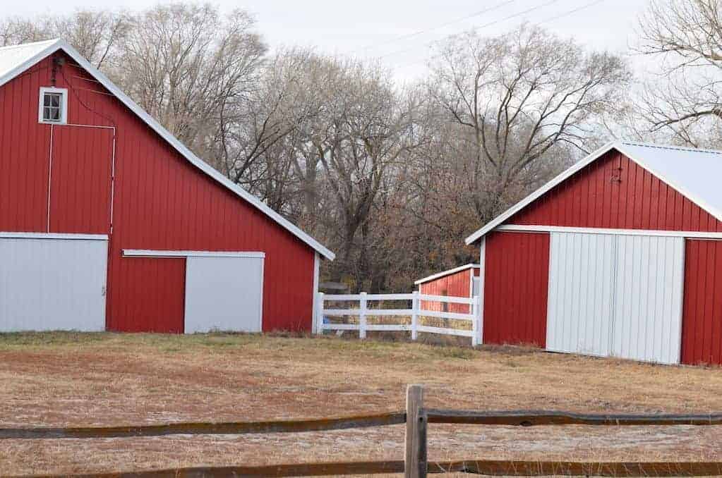 two red barns and trees in background