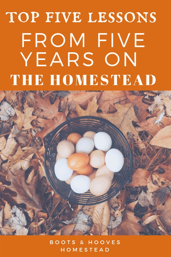 My Top Five Homesteading Lessons - Boots & Hooves Homestead