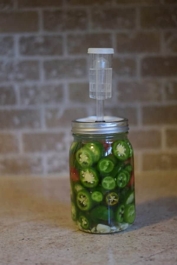 fermented jalapeños in a glass mason jar with fermented kit installed on top