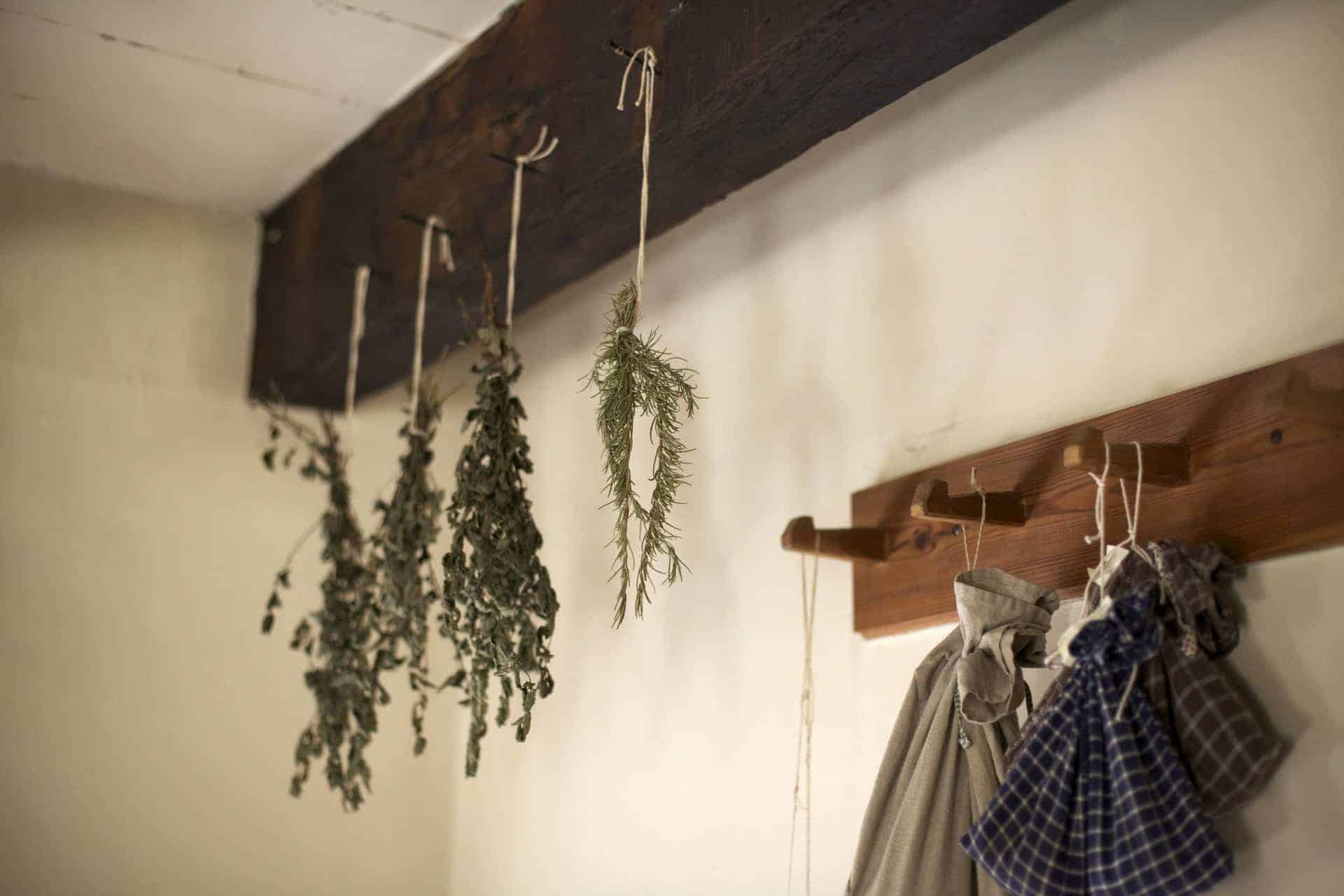 drying herbs hanging from ceiling 