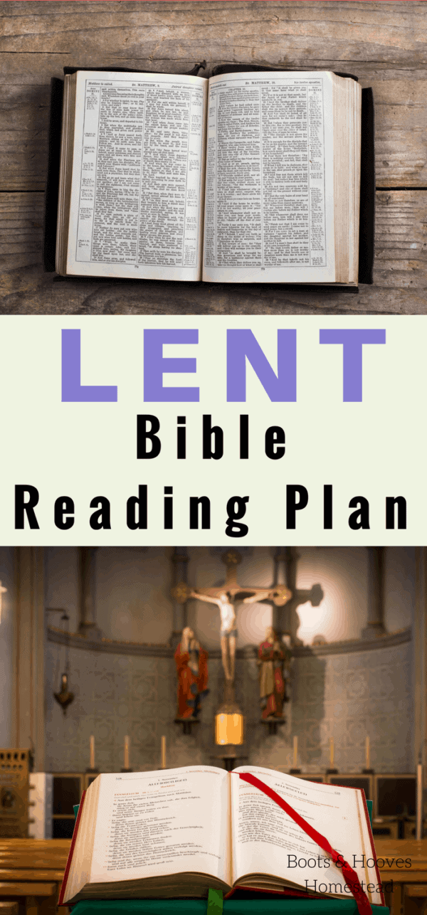 bible study plan bible study plan