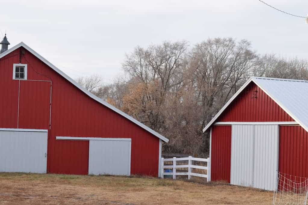 two red barns on an old farm