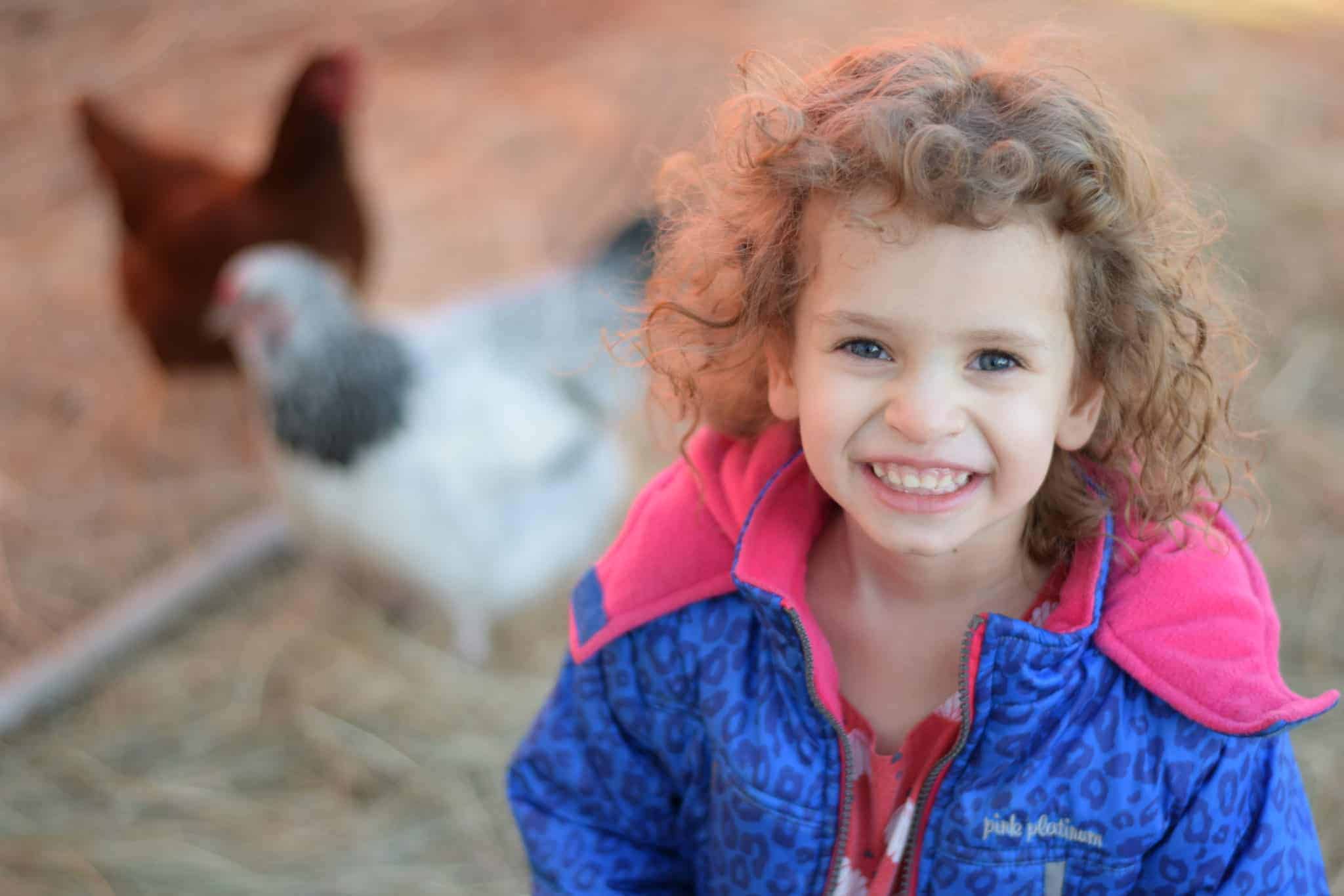 little girl in a chicken coop with two hens