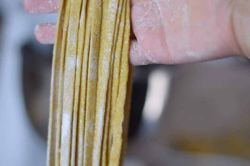 fresh cut linguine pasta noodles in hand