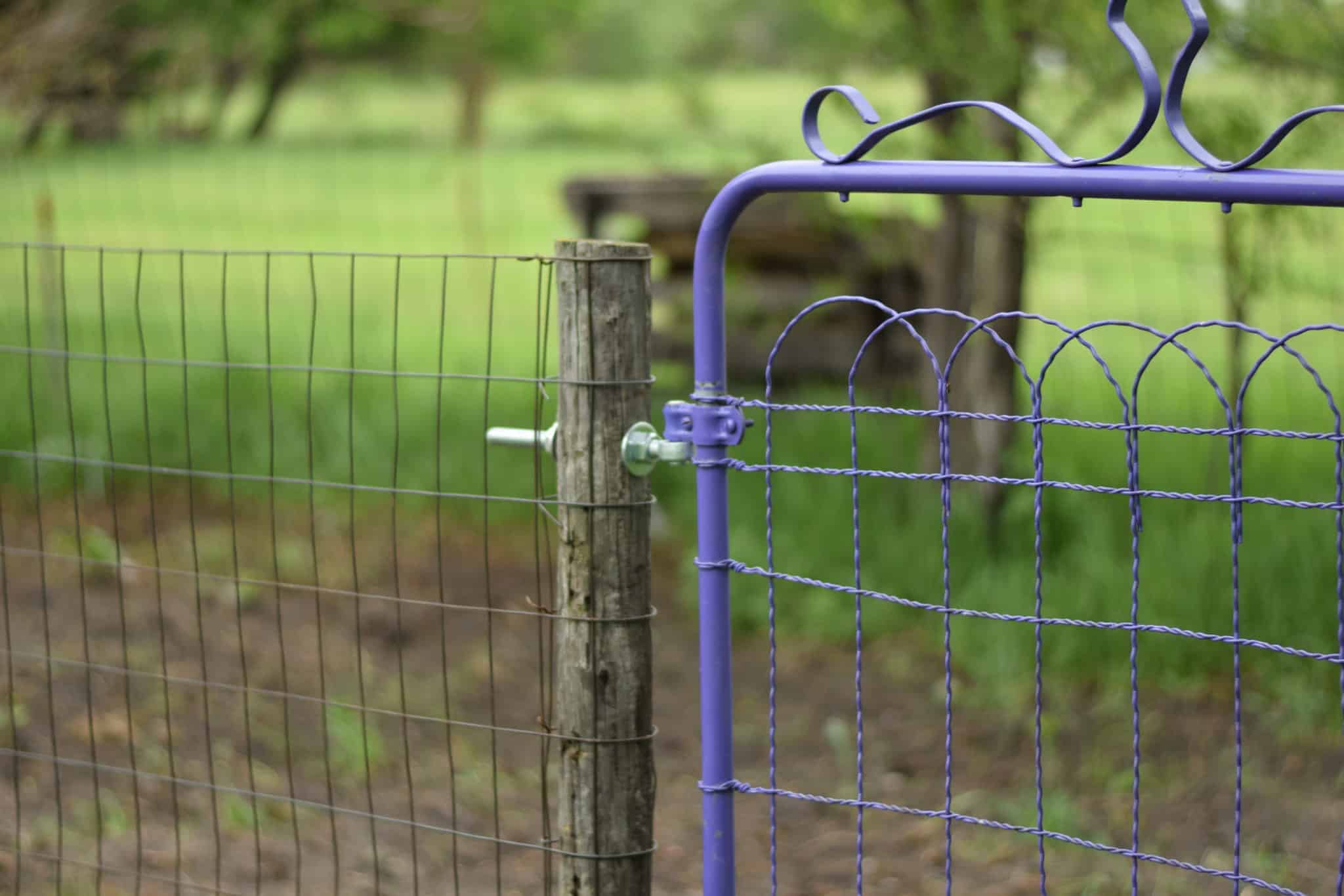 purple garden gate and fence