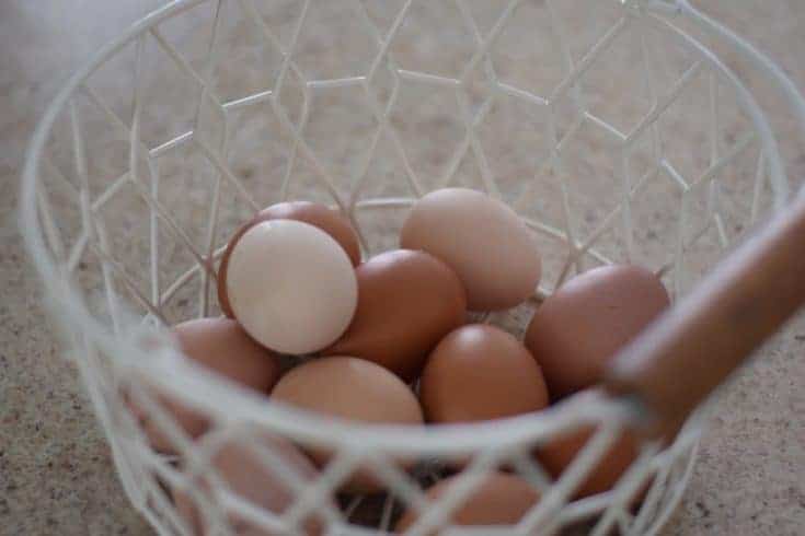 Do you need to refrigerate eggs? - Boots & Hooves Homestead
