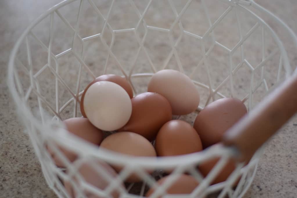 farm fresh eggs in a white wire egg basket