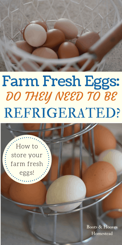 Do You Need To Refrigerate Eggs Boots Hooves Homestead