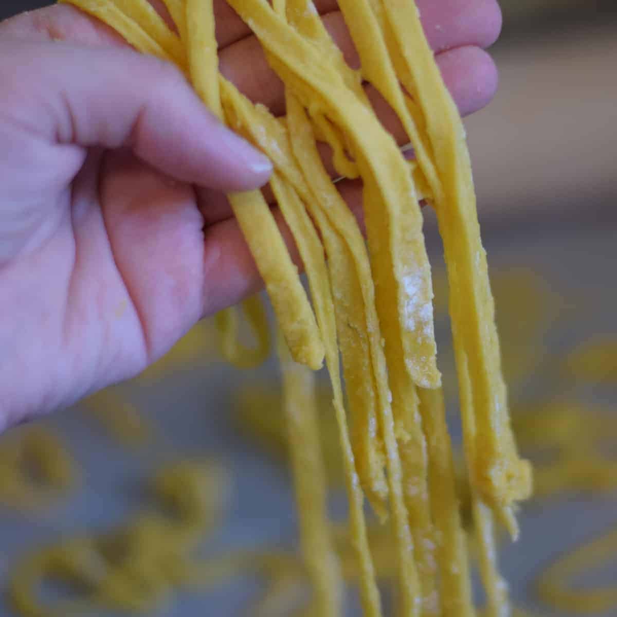 How to Make Homemade Pasta Noodles - Boots & Hooves Homestead