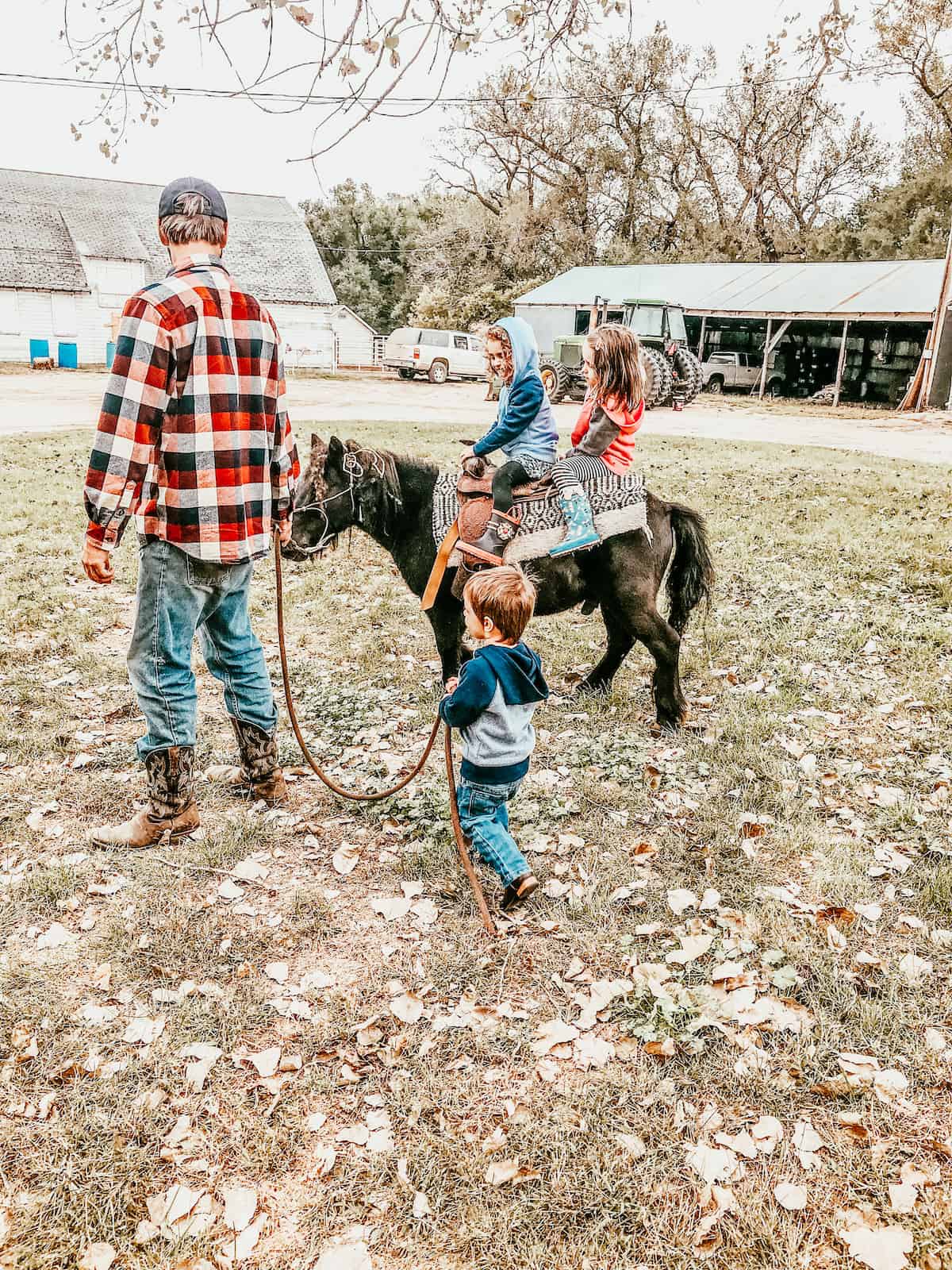 dad leading young children on a mini horse.