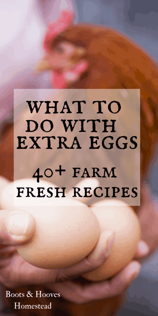 farm fresh eggs and Rhode Island red chicken