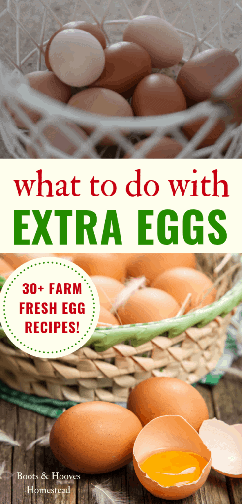 basket of farm fresh eggs