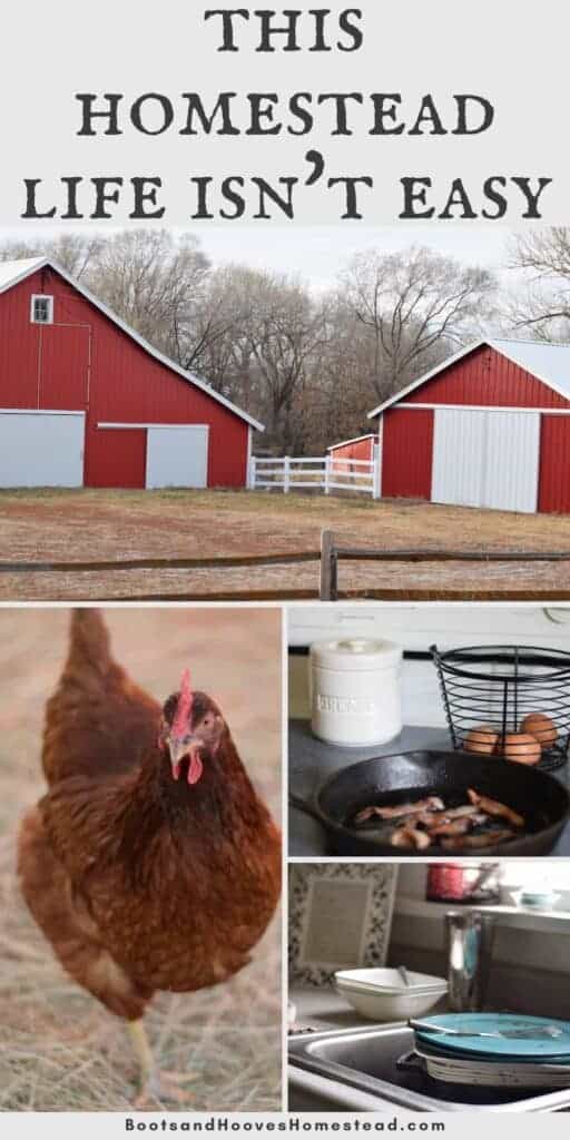 photo collage of barn , farmhouse and chickens