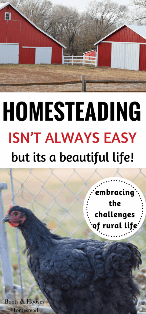 Embracing the challenges of homesteading and the rural life. This homestead life ins’t always easy.