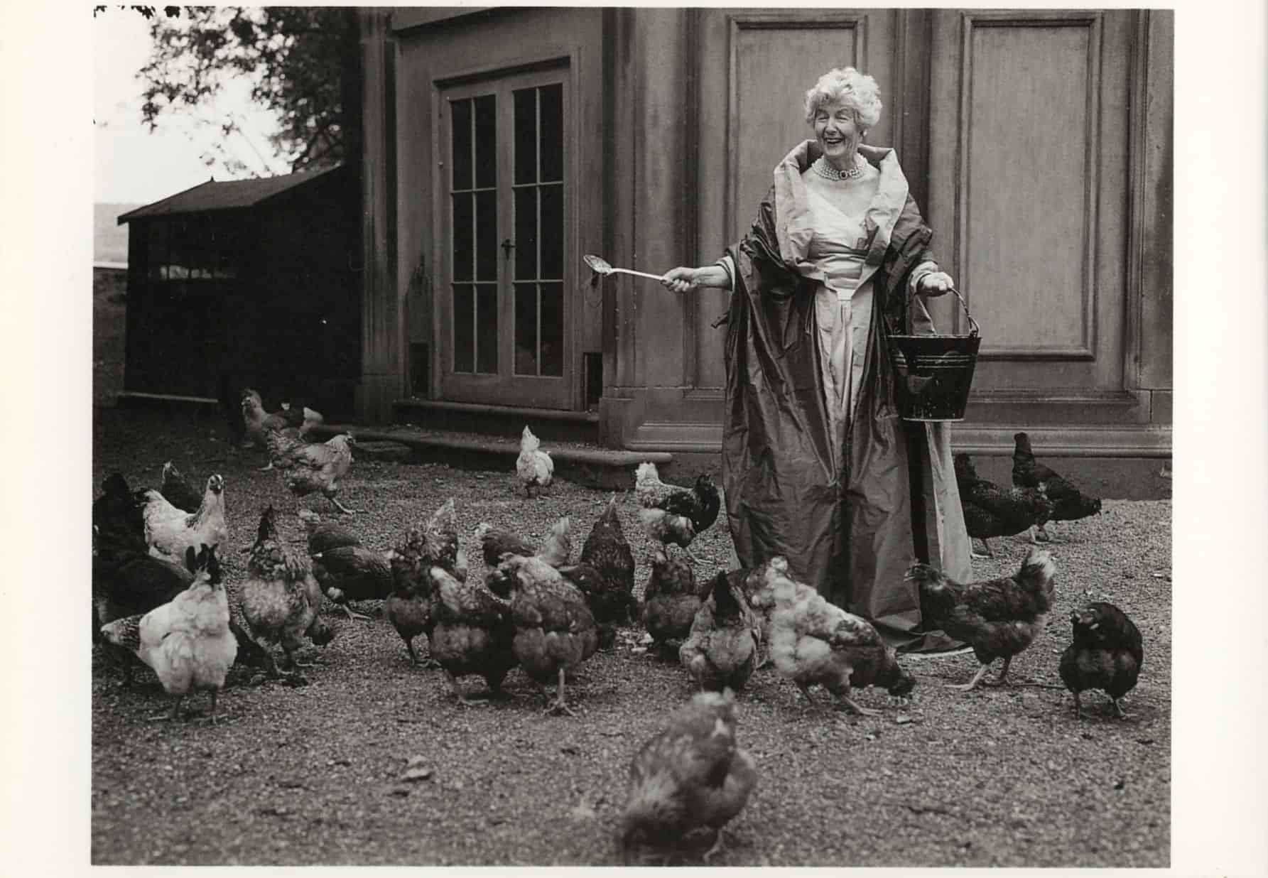 Duchess feeding chickens in a ballgown 