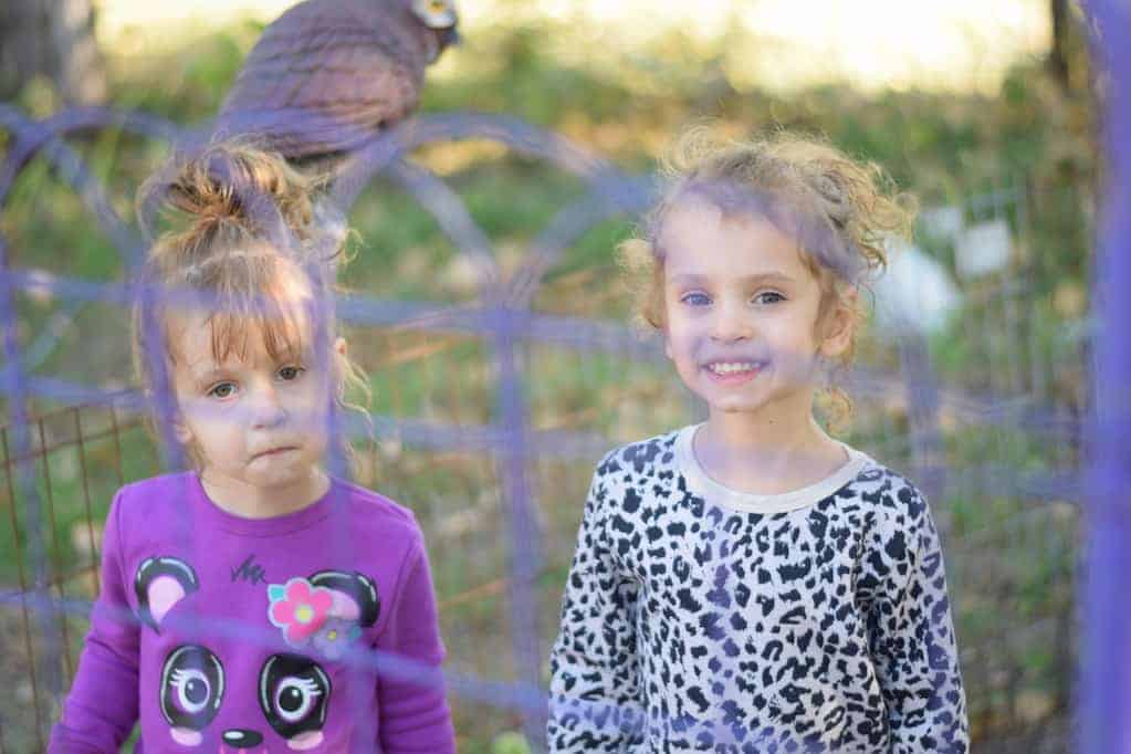 two little girls on other side of a purple fence in a garden