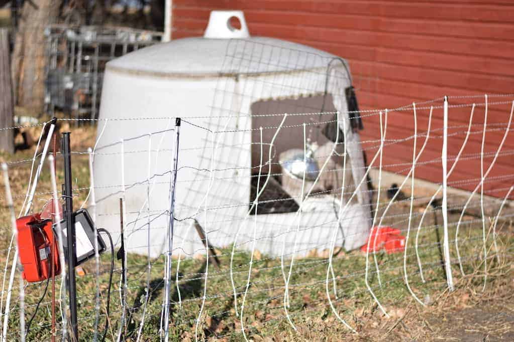 temporary chicken shelter with electric fence