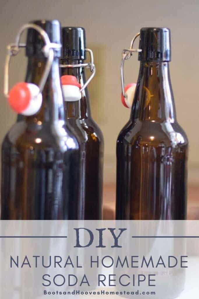 bottles with fresh made water kefir