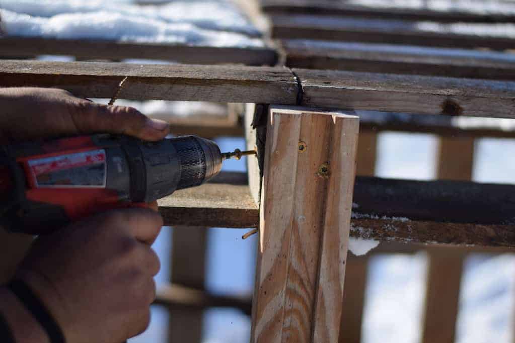 adding screws with drill to the side boards of the goat shelter