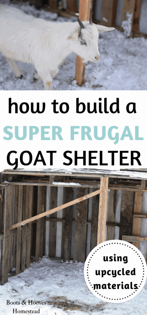 goat shelter outdoors
