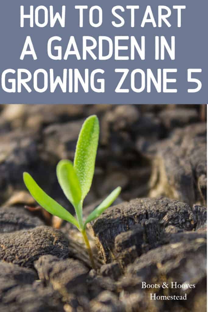 how to start a garden in zone 5