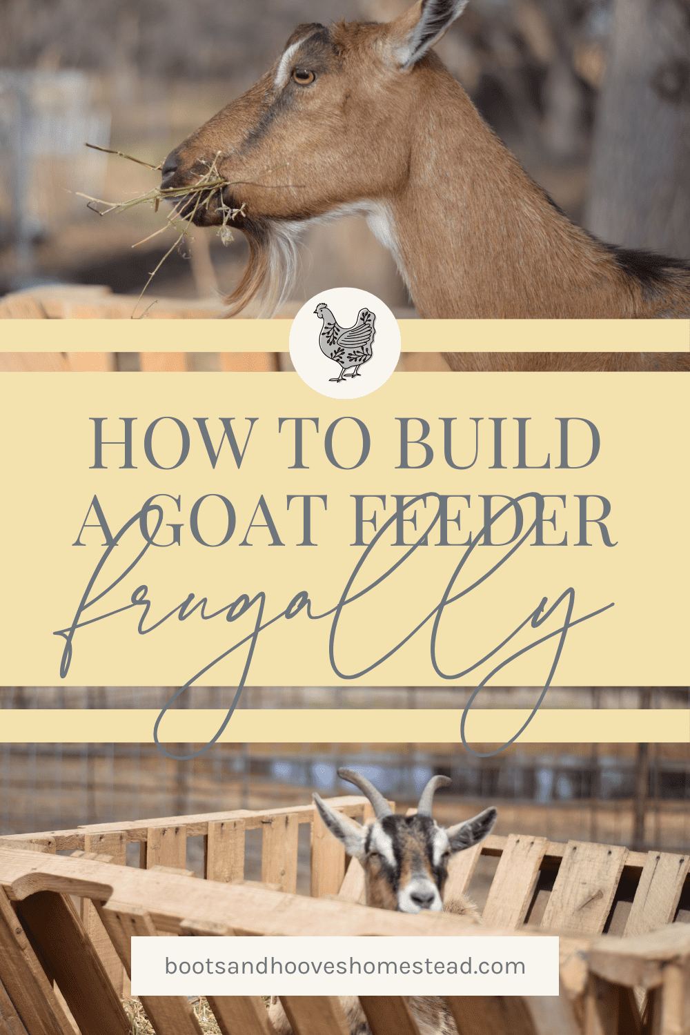 goat feeder