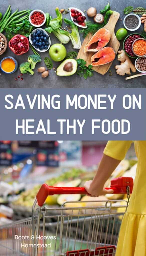 saving money on food and eating healthy