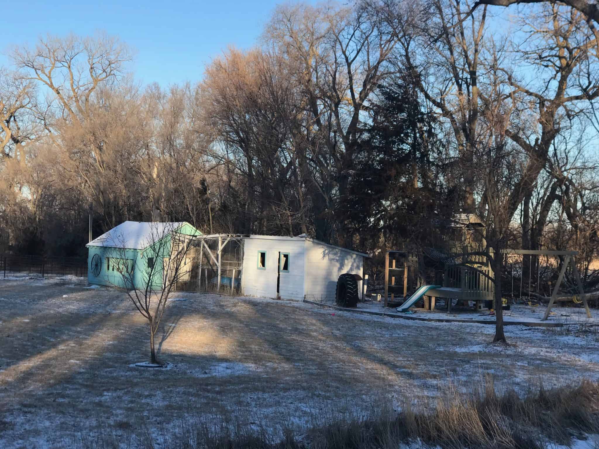 Chicken coop and garden shed. 