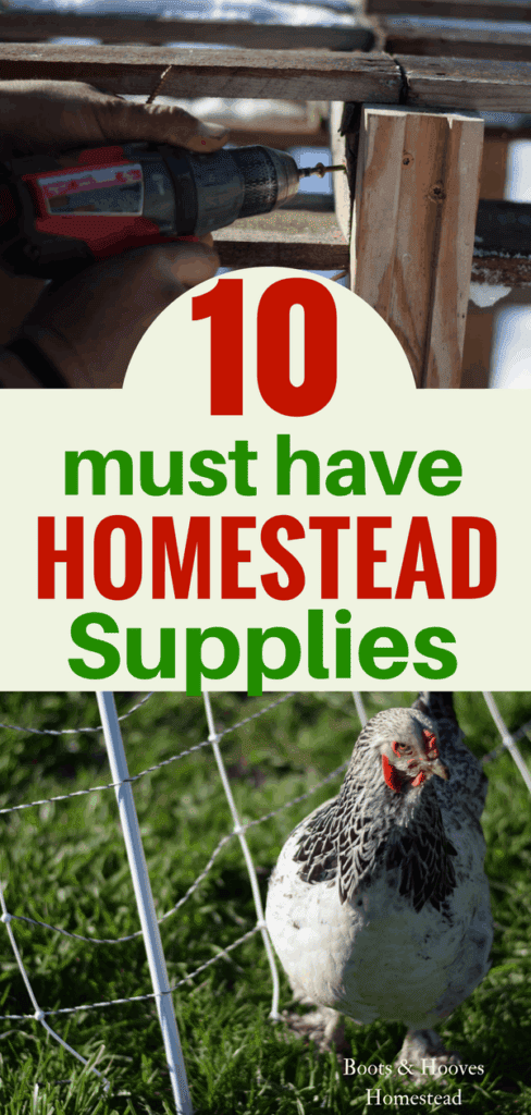 10 HOMESTEAD ESSENTIALS: Helpful Tools To Make Homestead Life Easier! 