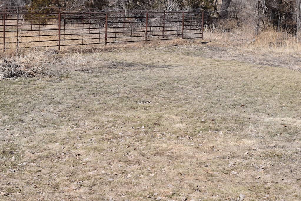 New garden plot and future potager garden design.