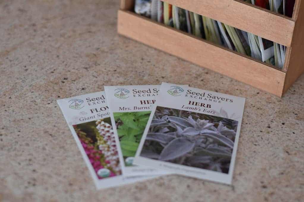 herb and flower seeds for a potager garden design