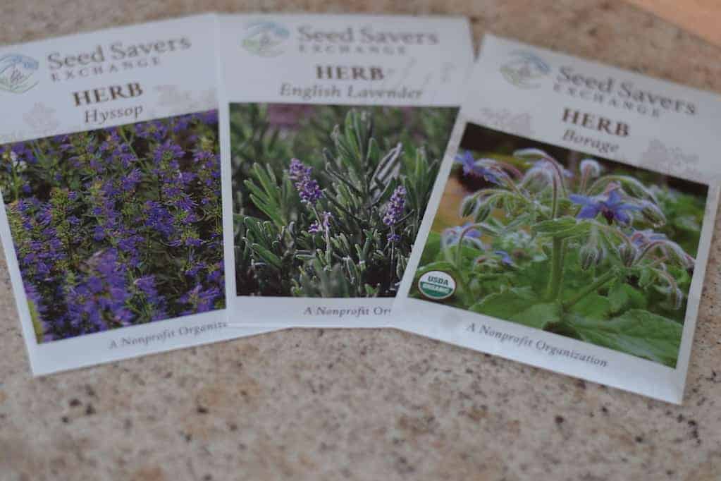 more favorite herbs for a potager garden design