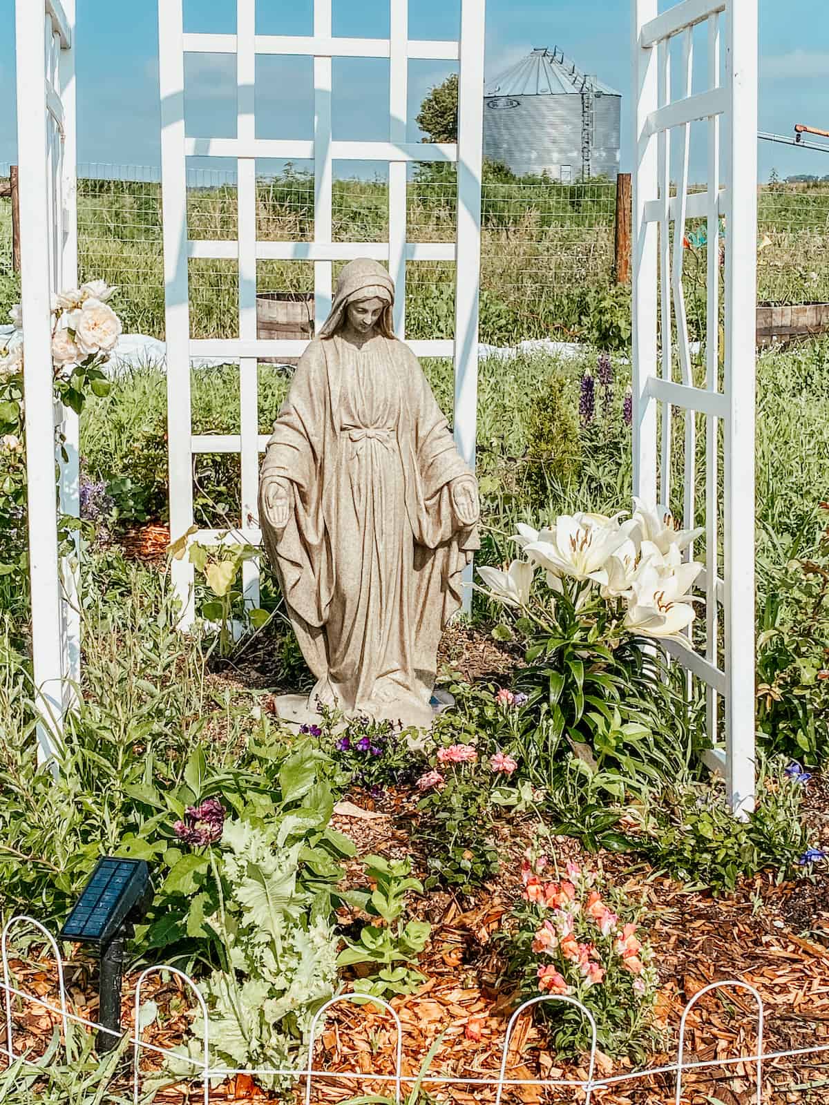 climbing roses over the Mary garden.