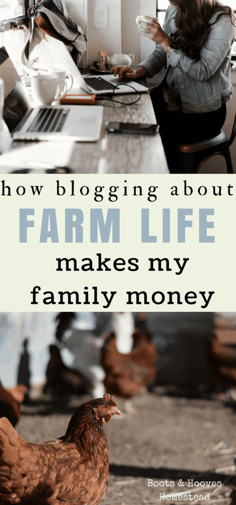 farm blogs can generate a full time income