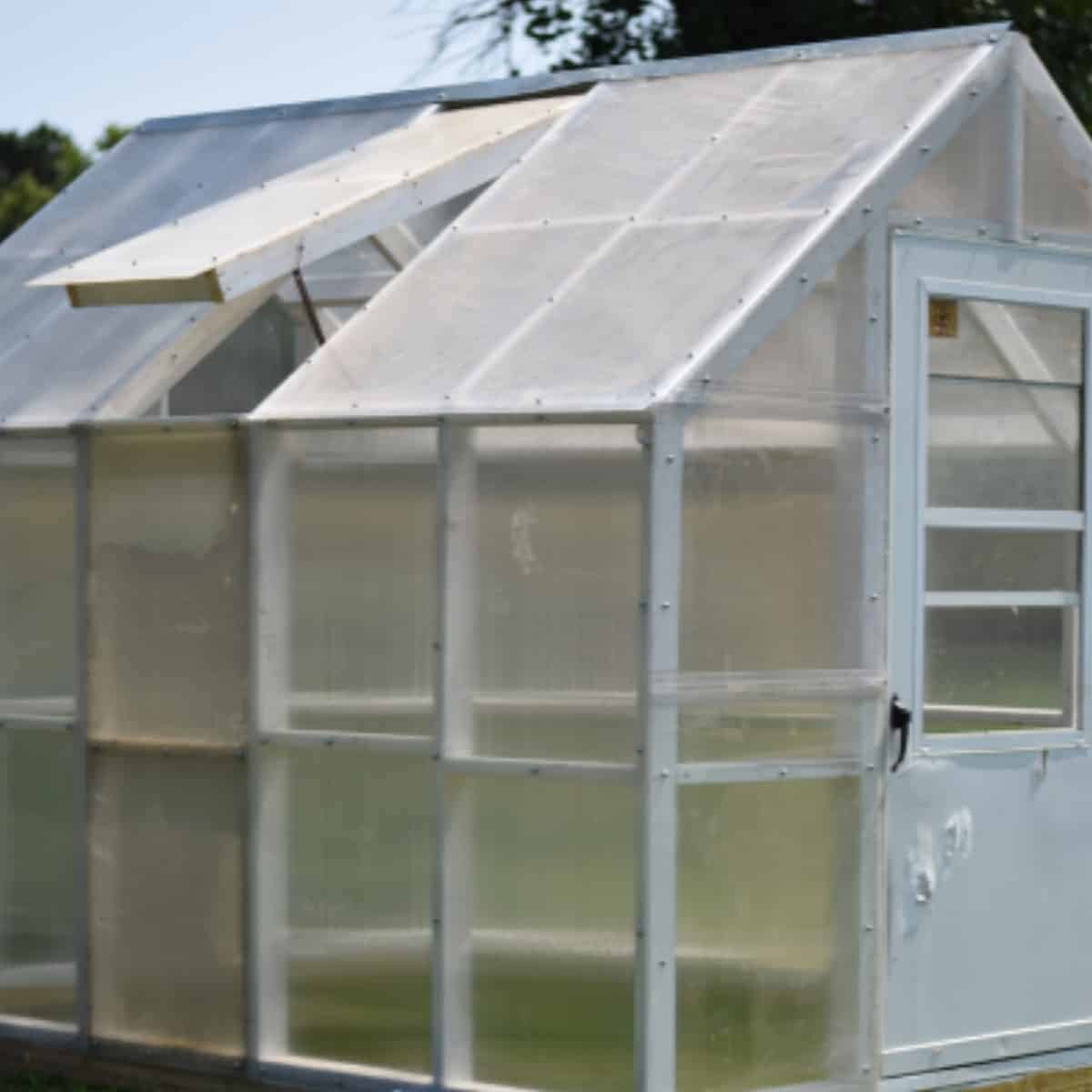 diy greenhouse in the garden