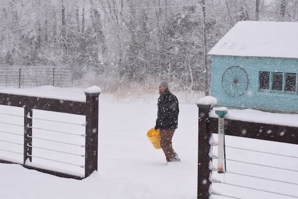 man outside carrying a water bucket in a blizzard to give to the chickens