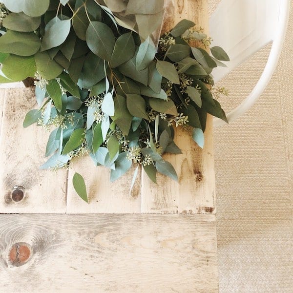 fresh eucalyptus bundles 