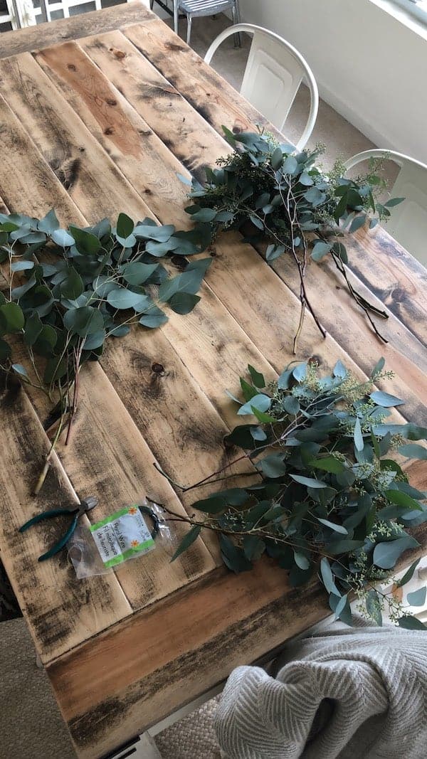 fresh cut eucalyptus in two piles on a table