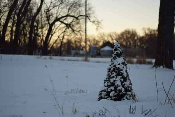 Sunrise and snow covered ground