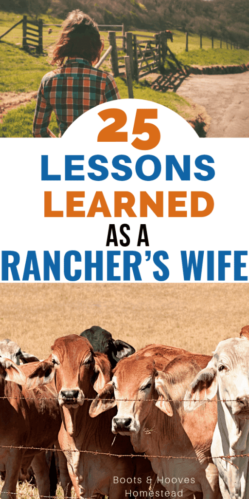 picture of a lady on a farm with cattle