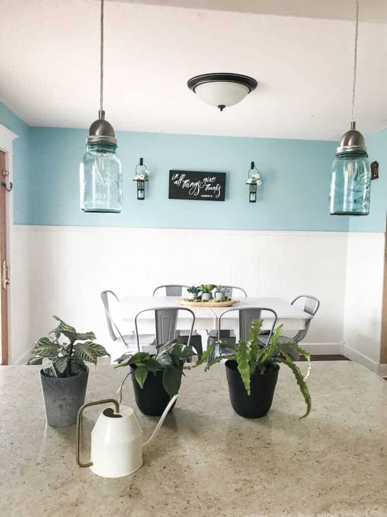 three houseplants and white watering can on a kitchen counter