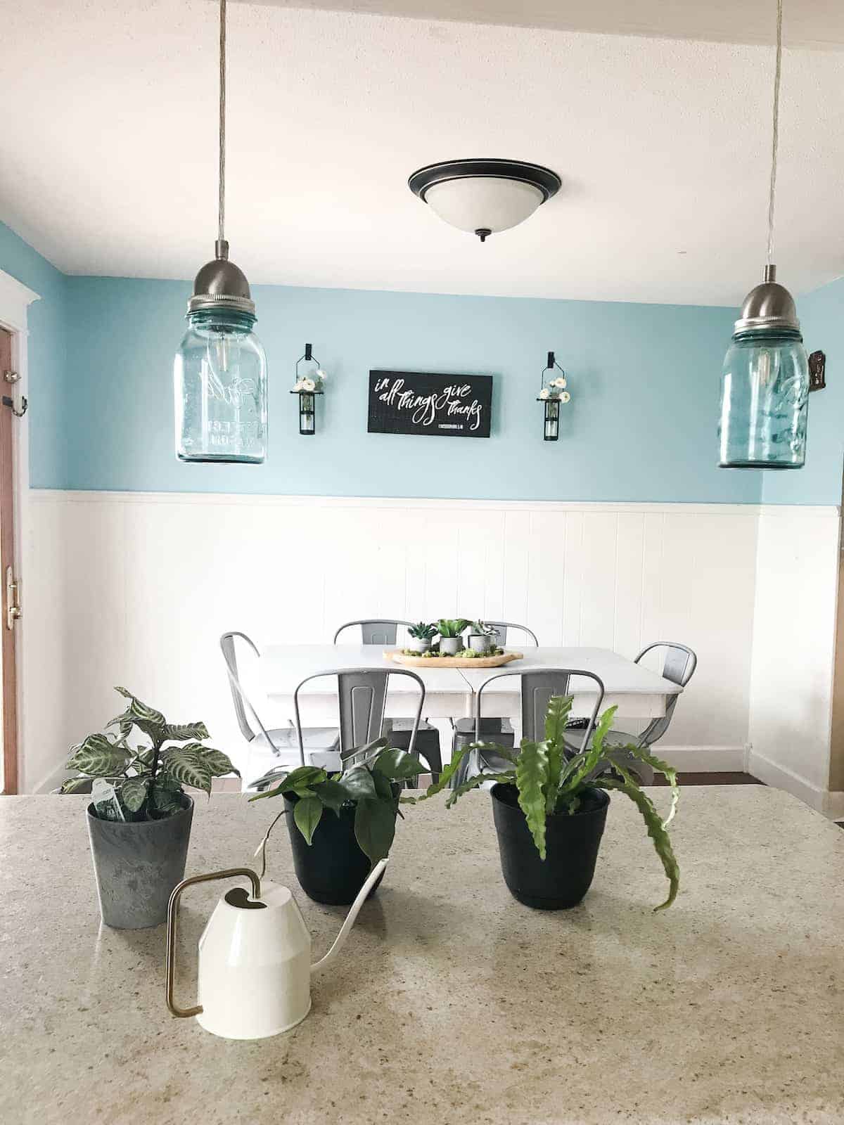 15-best-air-cleaning-houseplants-boots-hooves-homestead