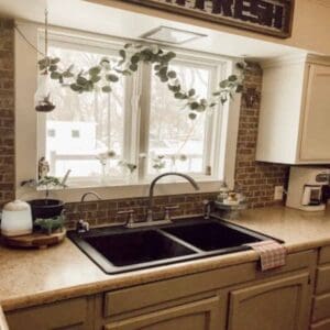 kitchen sink view with window above