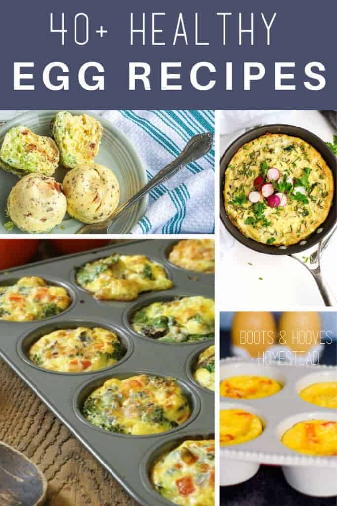 collage of egg recipes