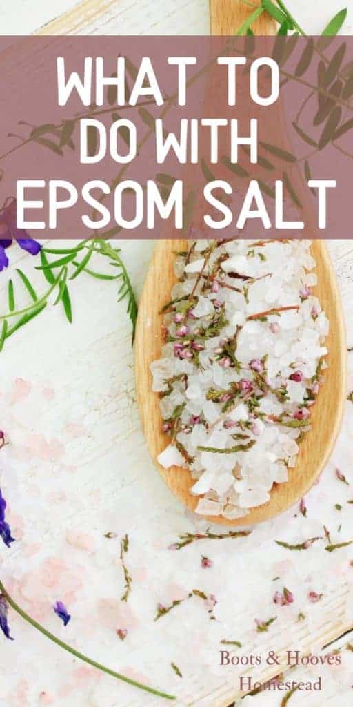 Epsom Salt in a wooden spoon