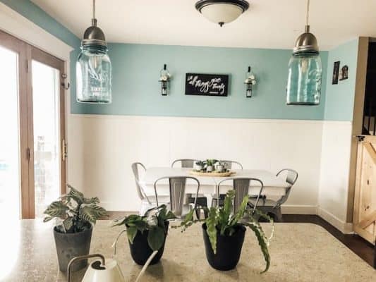 houseplants on countertop