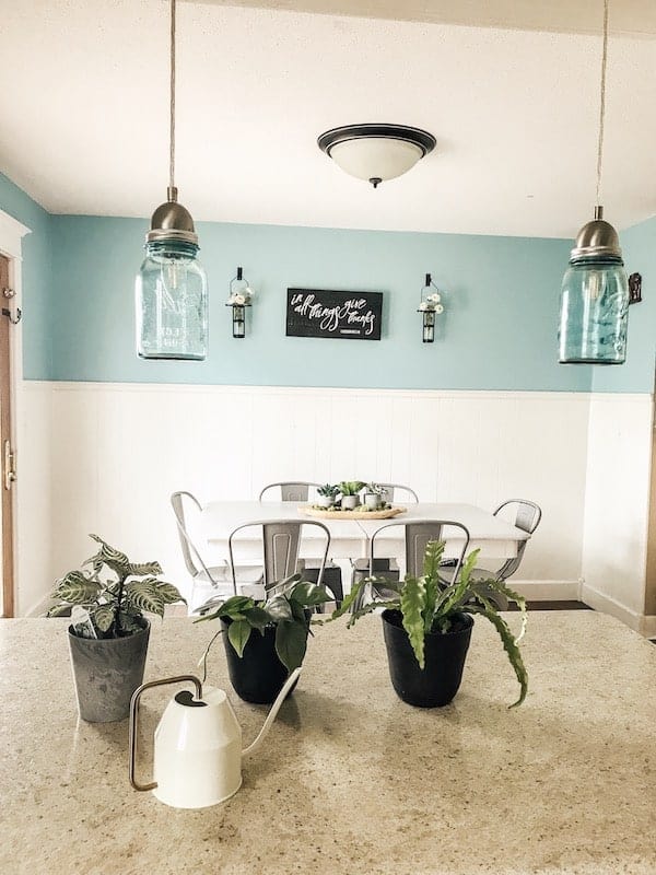 countertop with plants